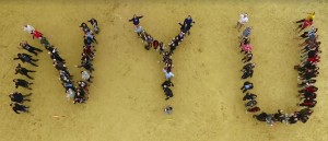 NYU Stern MBA Business School Class of 2016